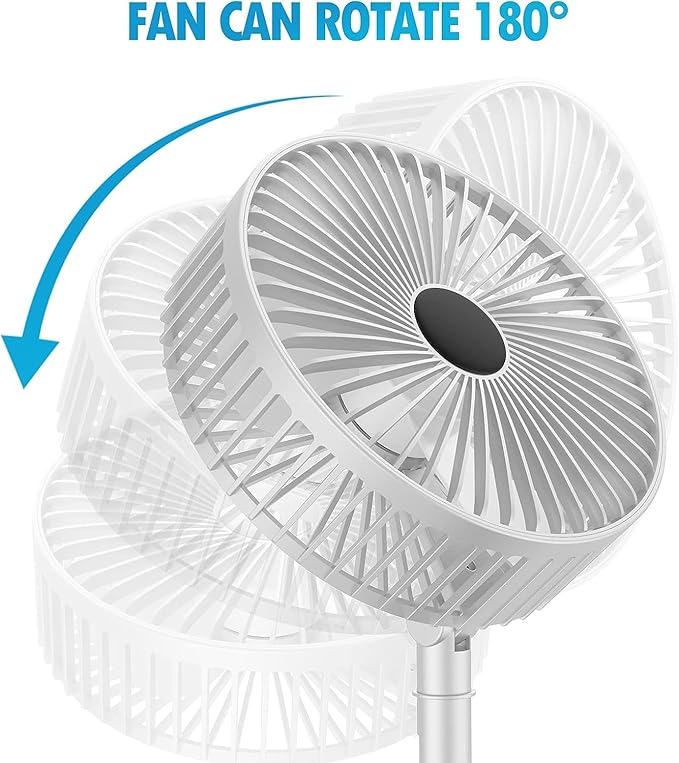 Table Fan